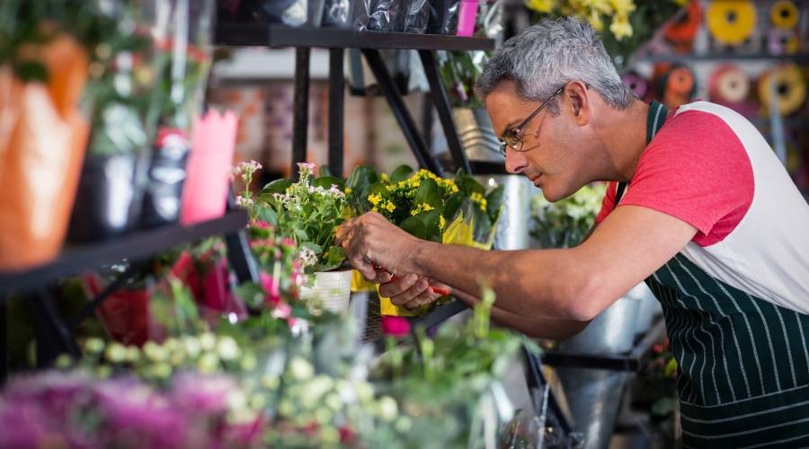 Planten worden bekeken door de bloemist De bloemen worden onderhouden